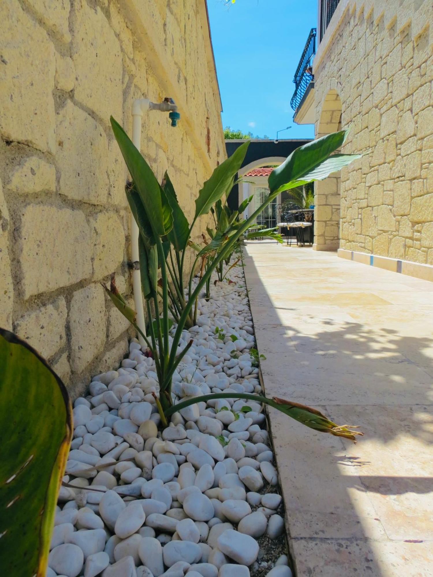 Fedora Otel Alacatı Bagian luar foto