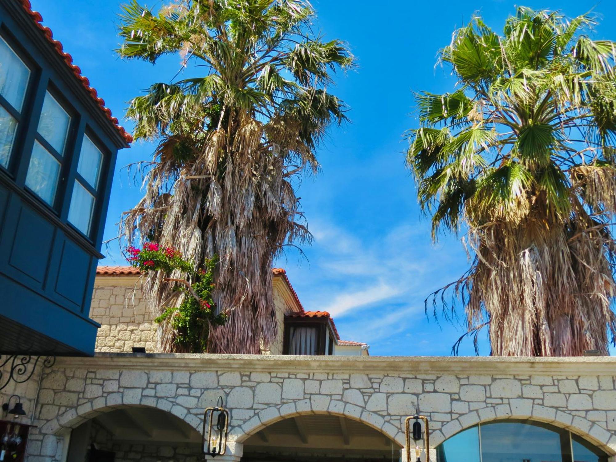 Fedora Otel Alacatı Bagian luar foto